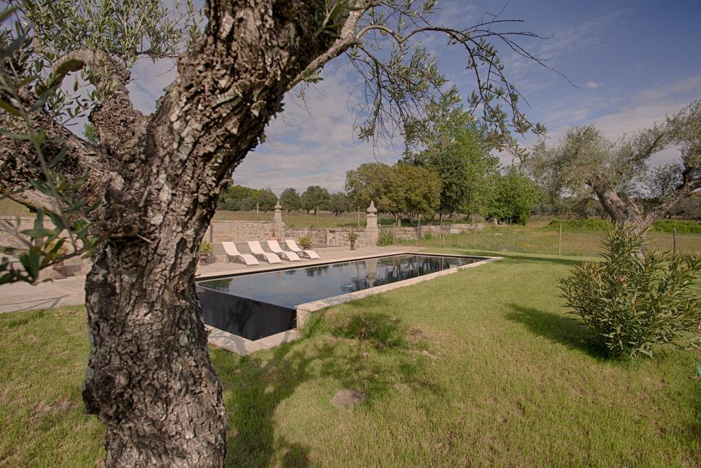 Quinta Dos Carvalhos Vila Castelo Branco  Exterior foto